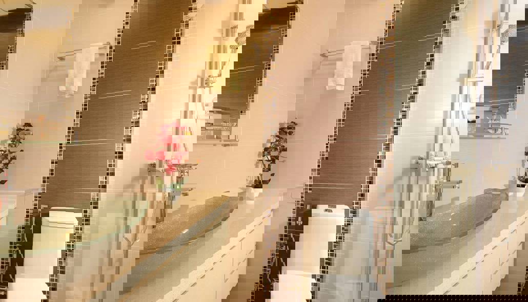 Portfolio 117 ( Arcus - White Star )